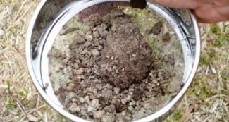 Rock sample