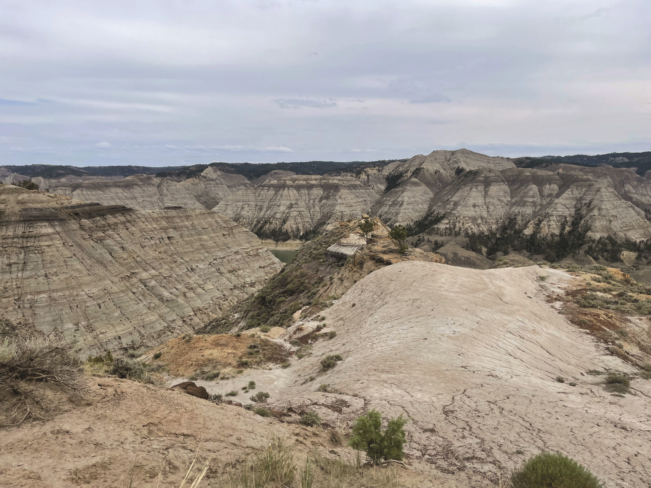 Campanian (late Cretaceous) sediments of the Judith River Formation are beautifully exposed along the banks of the Missouri River in the Upper Missouri River Breaks National Monument of north-central Montana, USA. These cliffs reveal alternating layers of floodplain and channel deposits that host a plethora of plant, mollusk, and vertebrate fossils. Studying these deposits furthers our understanding of nonmarine sequence stratigraphy and enables us to better interpret the fossil record using a robust sequence stratigraphic framework. See ‘Quantifying controls on the occurrence of nonmarine fossils’ by Regan et al., p. 1287–1290.  Photo by: Anik Regan