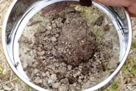 Rock sample