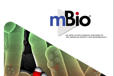 mBio